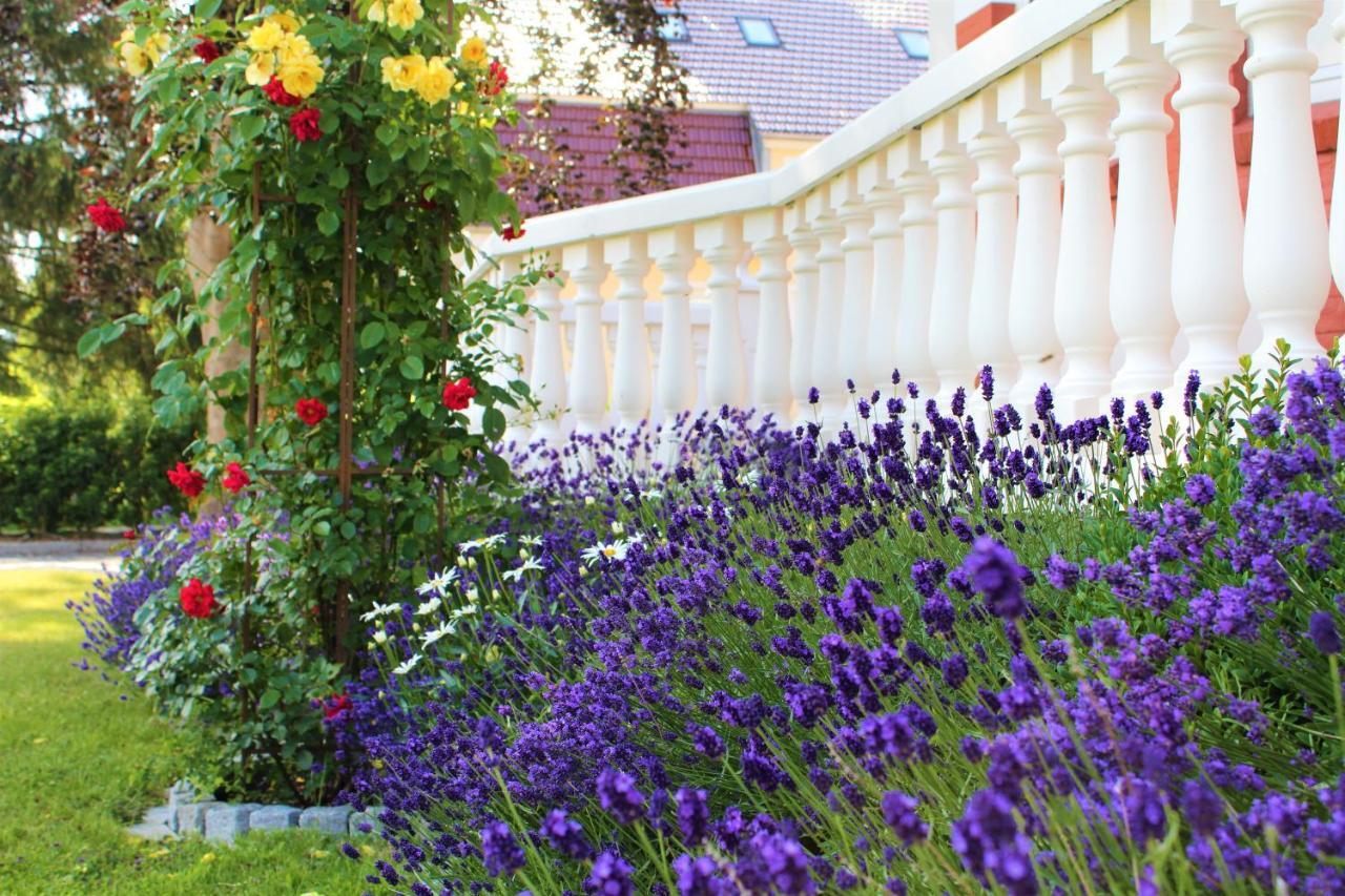 Rosen Villa Kappeln Dış mekan fotoğraf