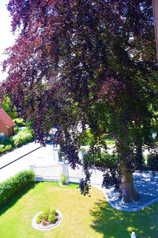 Rosen Villa Kappeln Dış mekan fotoğraf